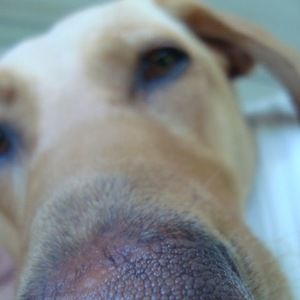 Meet your Posher, Jane